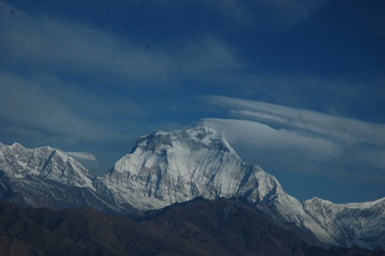 Mardi-Himal-Trek-768x5...